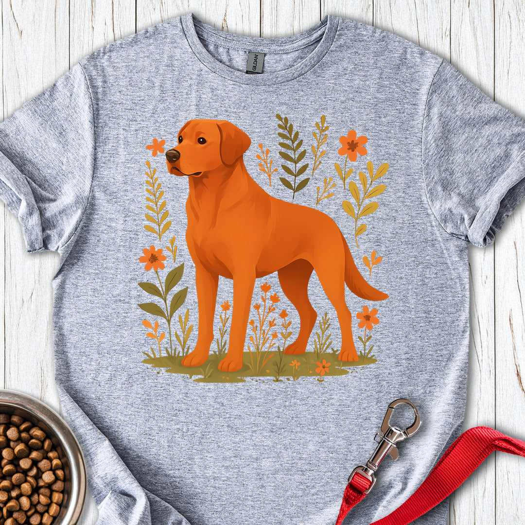 Fox Red Labrador Sport Grey