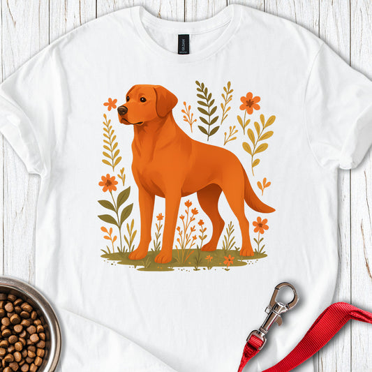 Fox Red Labrador White