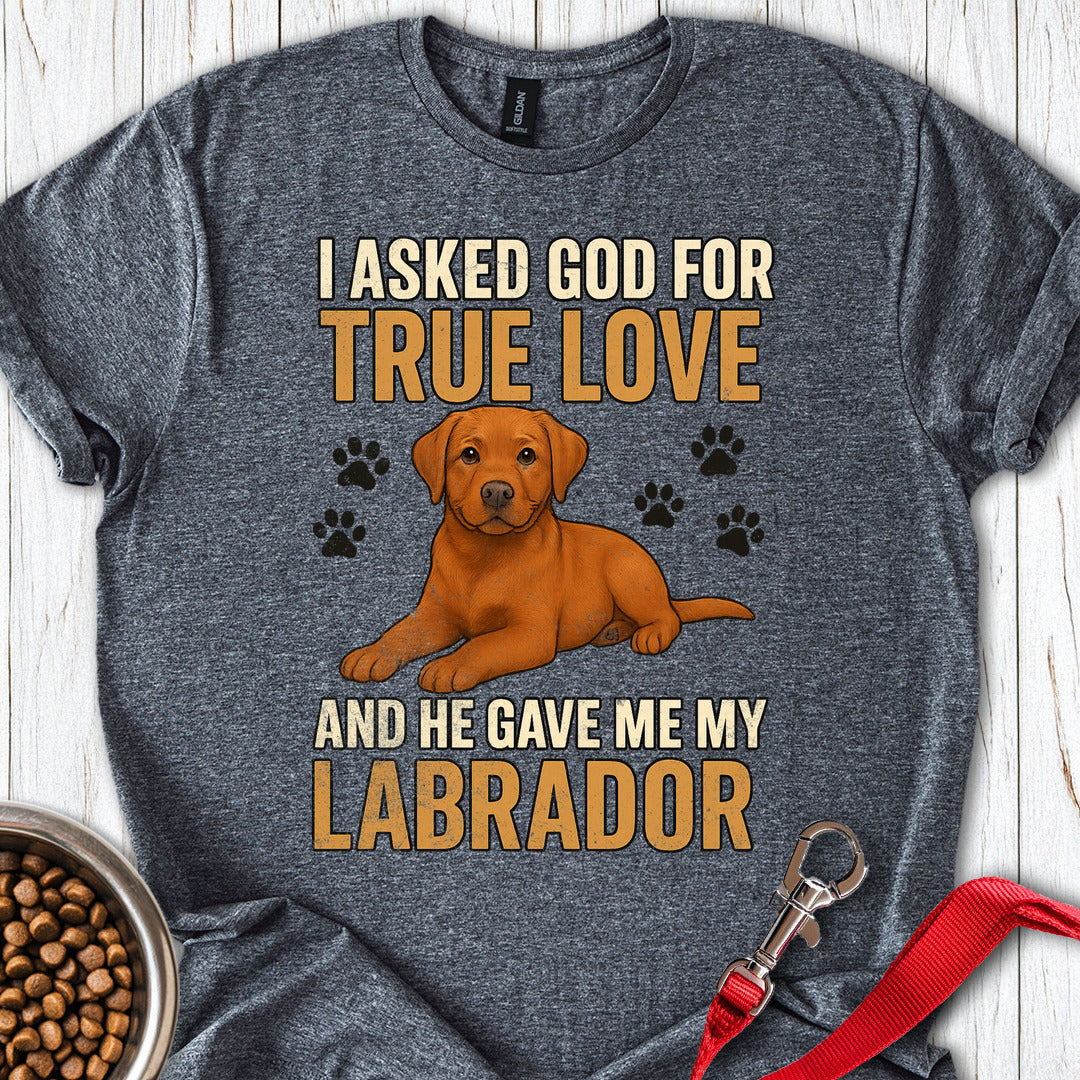 Fox Red Labrador Love Dark Heather