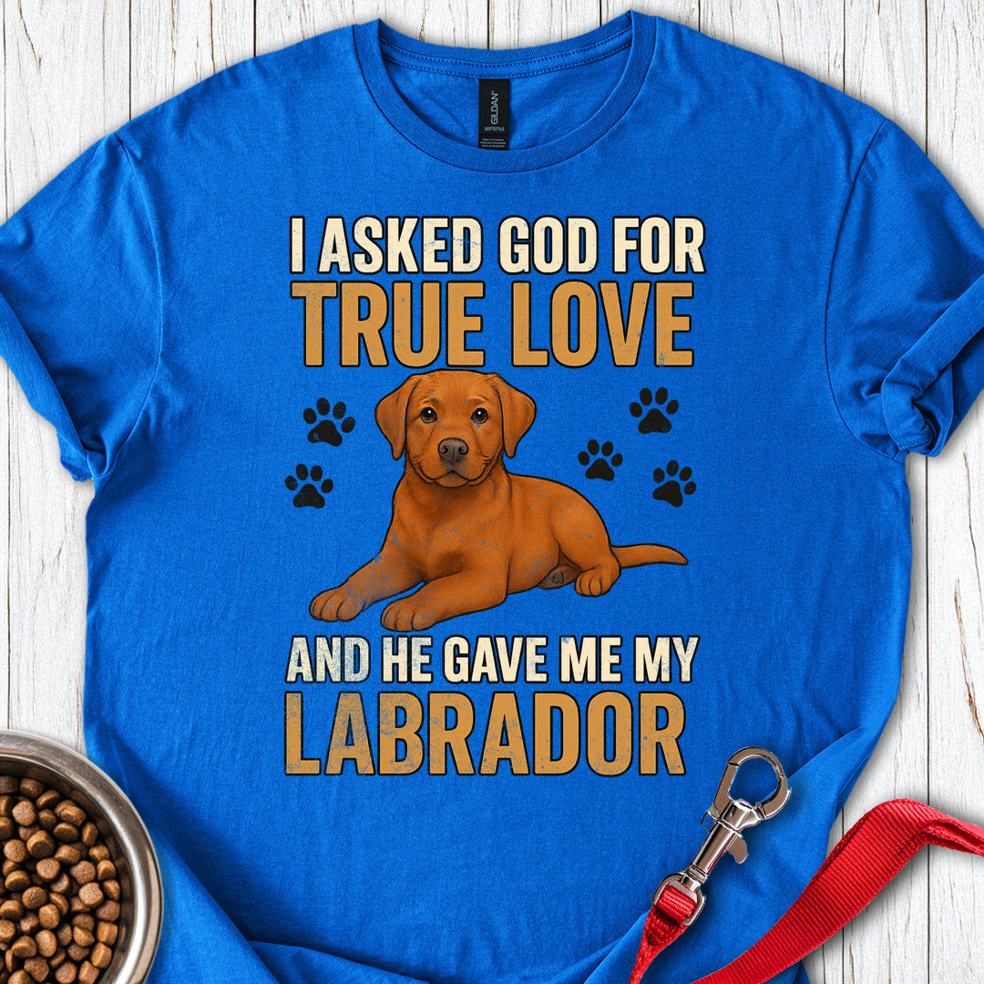 Fox Red Labrador Love Royal