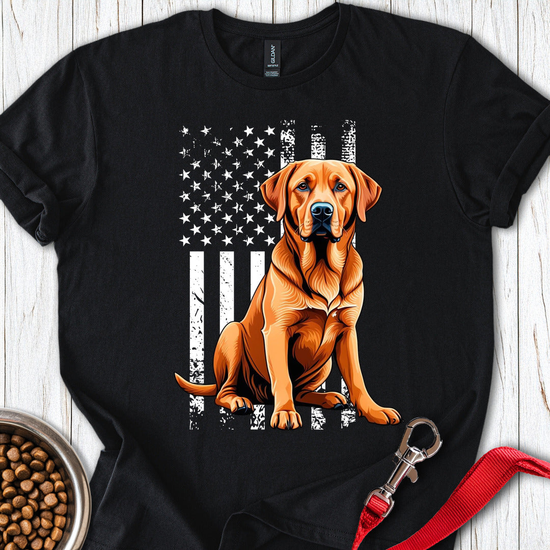 Fox Red Labrador USA Black