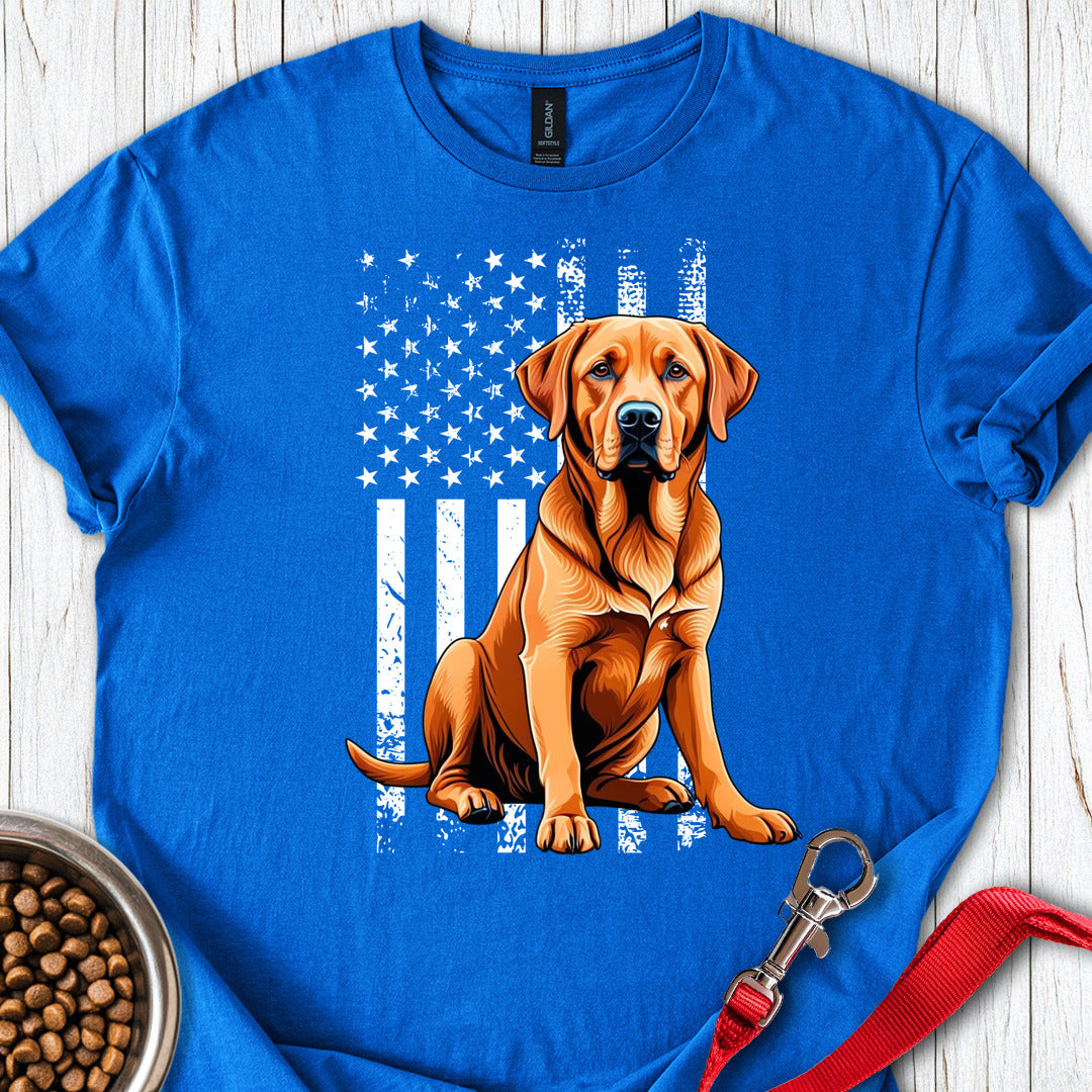 Fox Red Labrador USA Royal