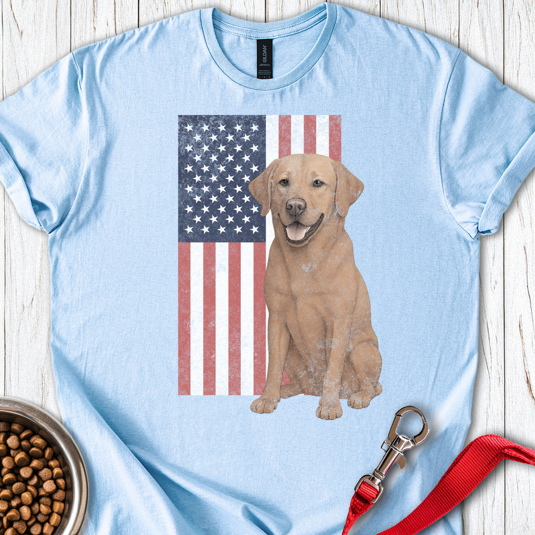 Fox Red USA Flag Faded Light Blue