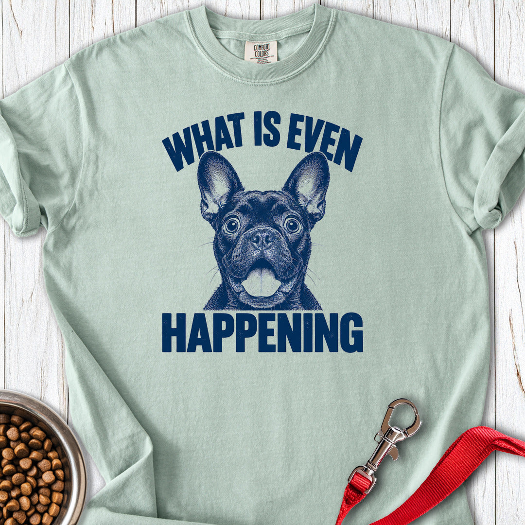 French Bulldog What Is Even Happening Premium Tee — Bay
