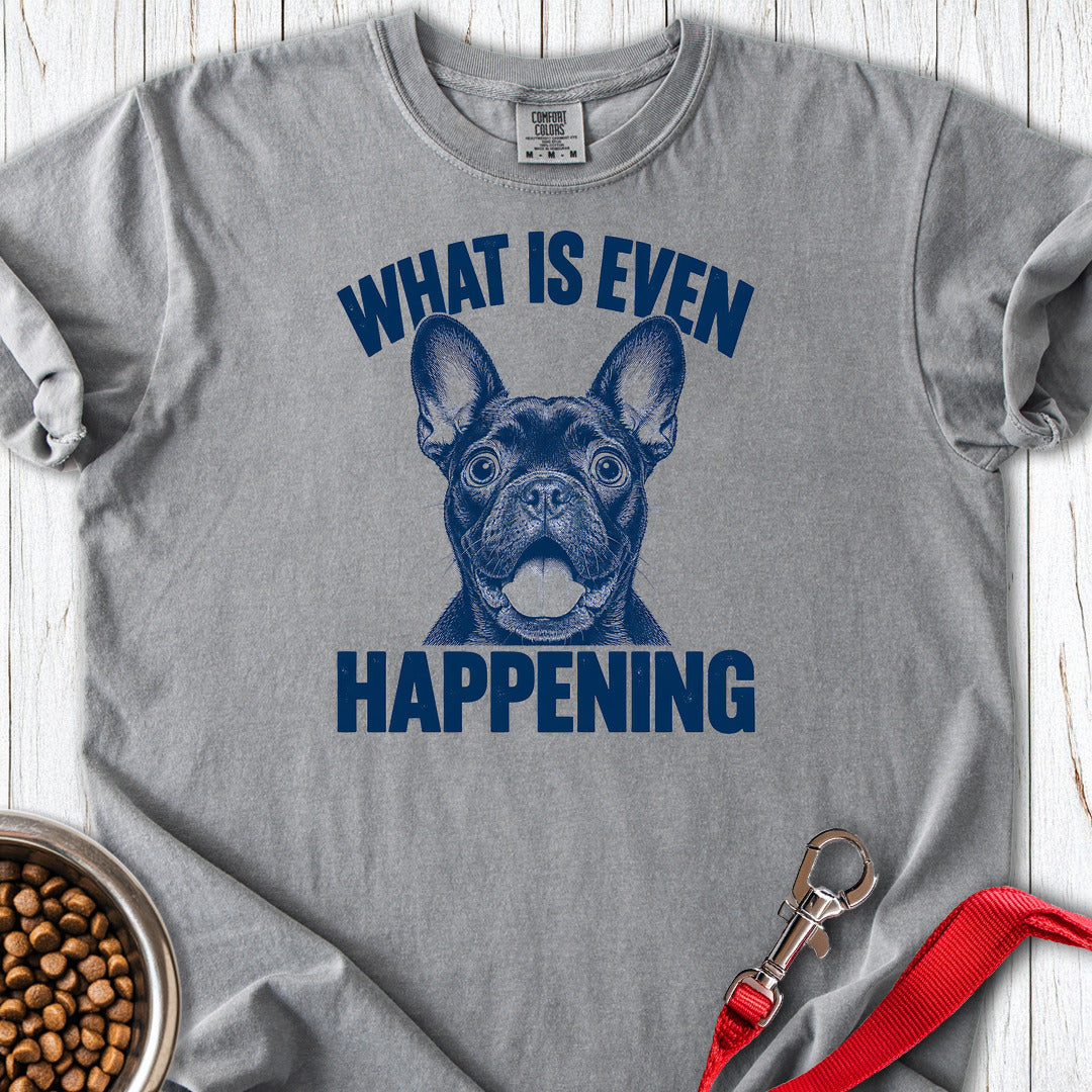 French Bulldog What Is Even Happening Premium Tee — Grey