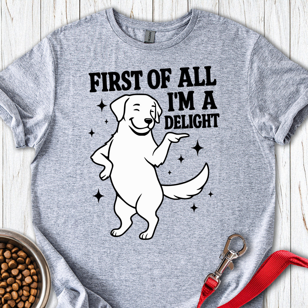 Funny Labrador Sport Grey