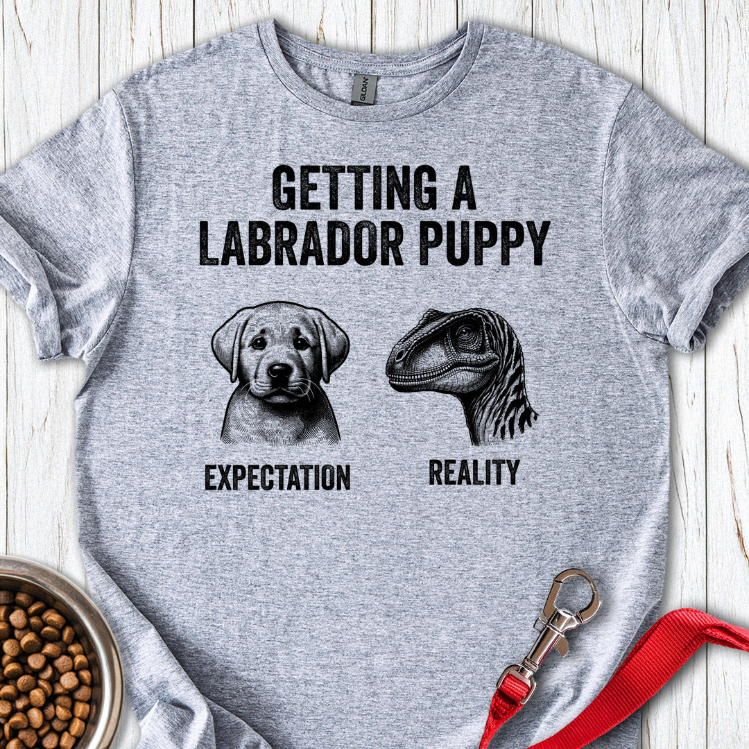 Funny Labrador Puppy Sport Grey