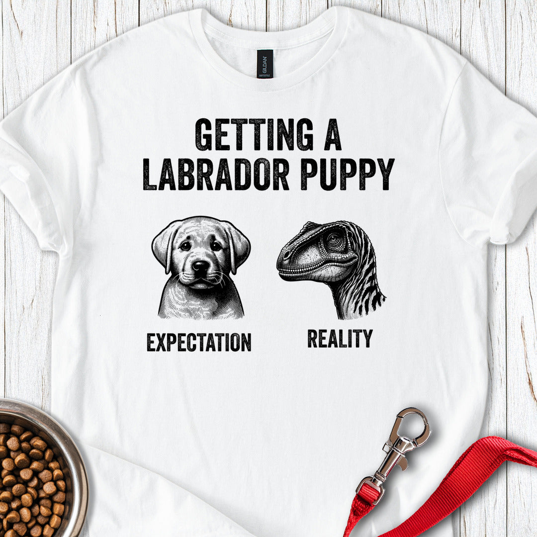 Funny Labrador Puppy White
