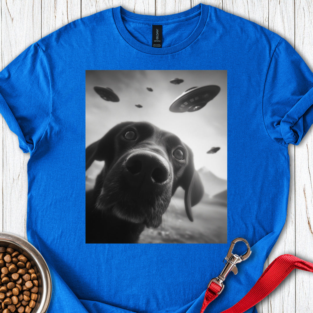 Funny Labrador UFO Royal