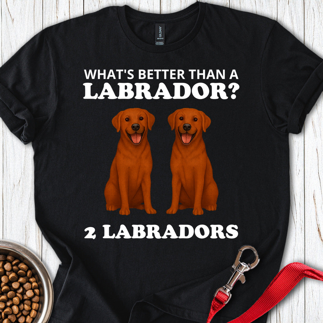 Funny Two Fox Red Labradors Black