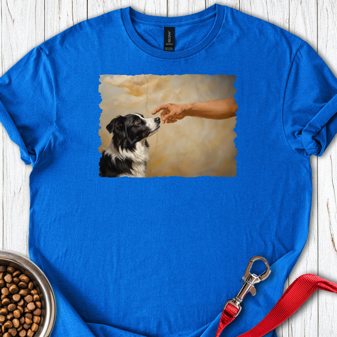 God Creates Border Collie — Royal