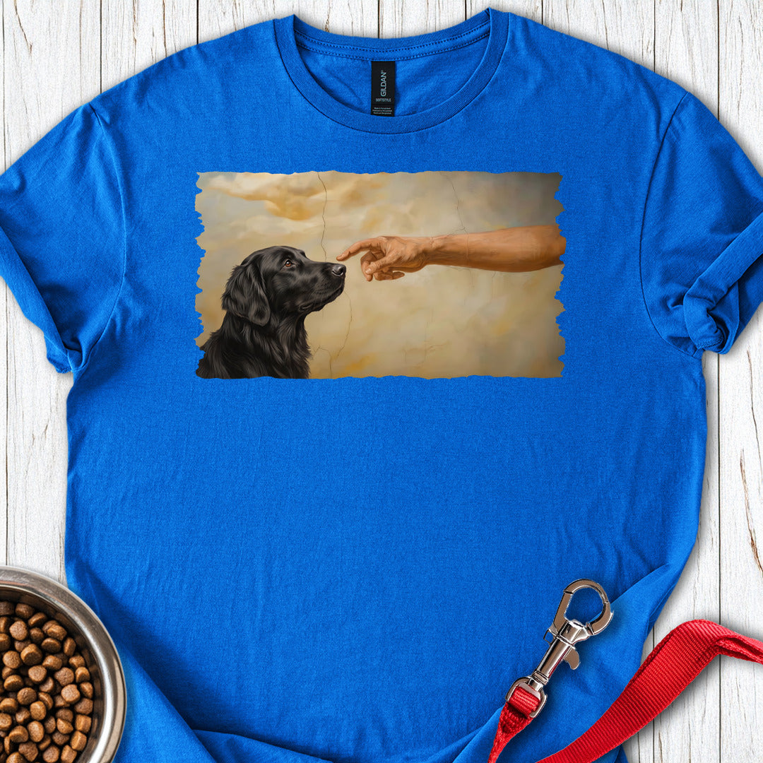 God Creates Flat-Coated Retriever — Royal