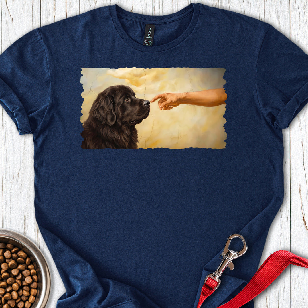 God Creates Newfoundland — Navy