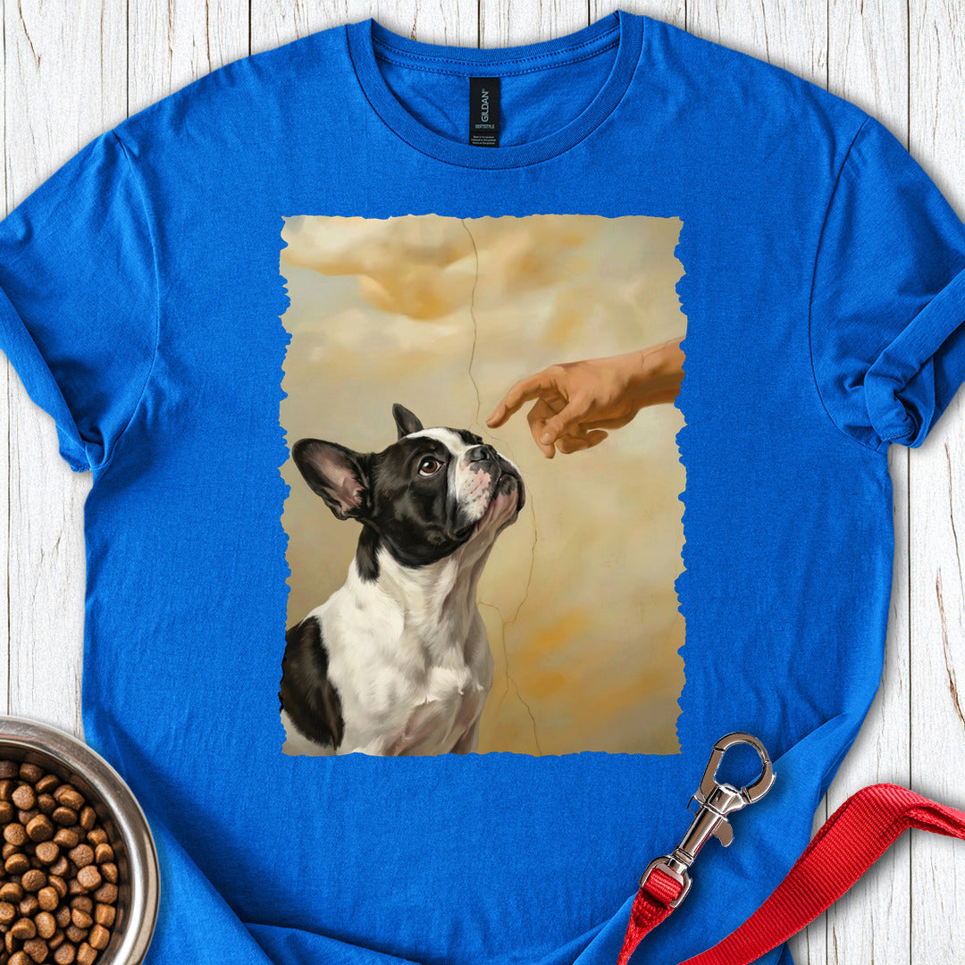 God Creates Piebald French Bulldog Royal