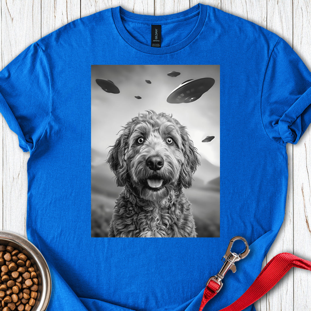 Golden Doodle UFO Royal