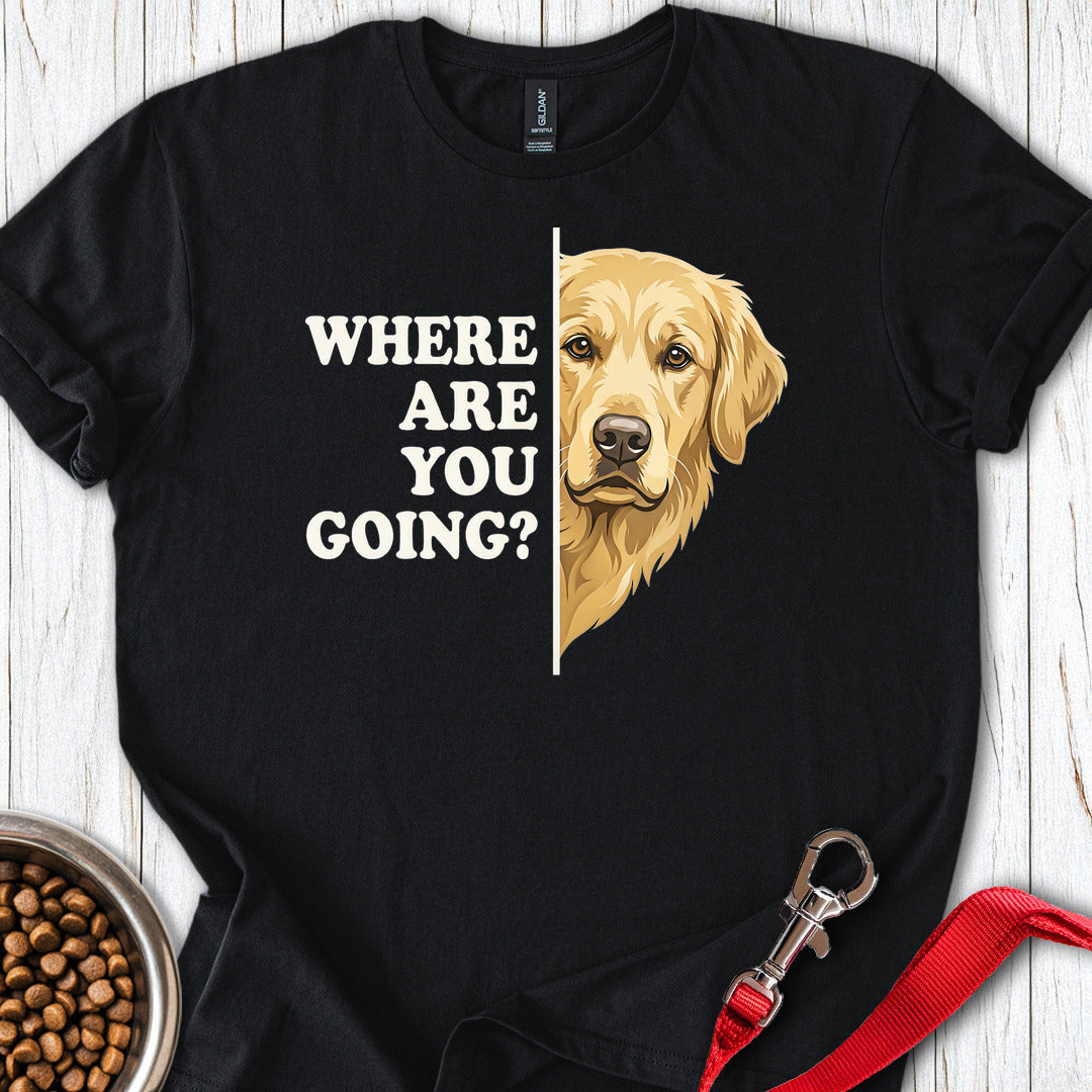 Golden Retriever Following Black