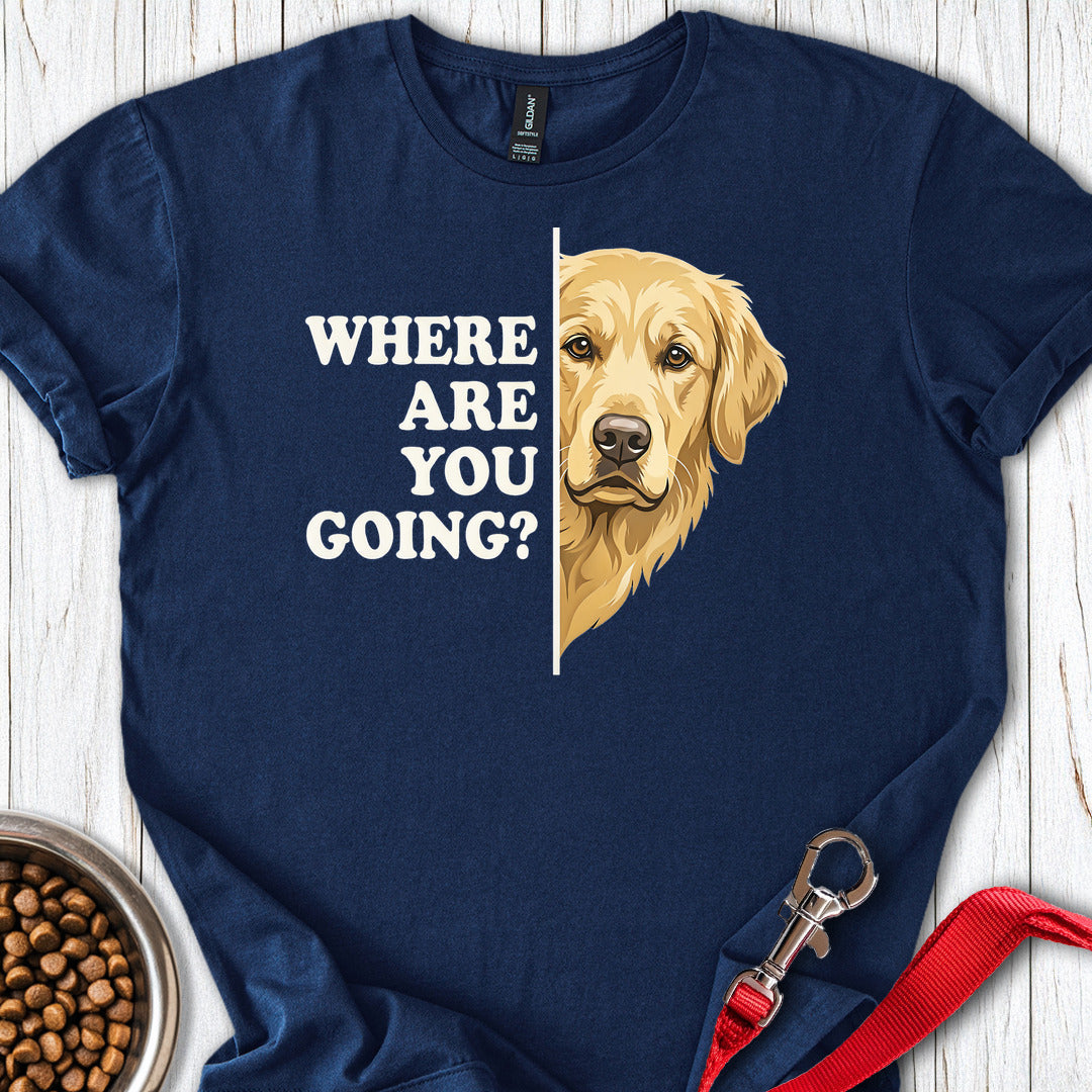 Golden Retriever Following Navy