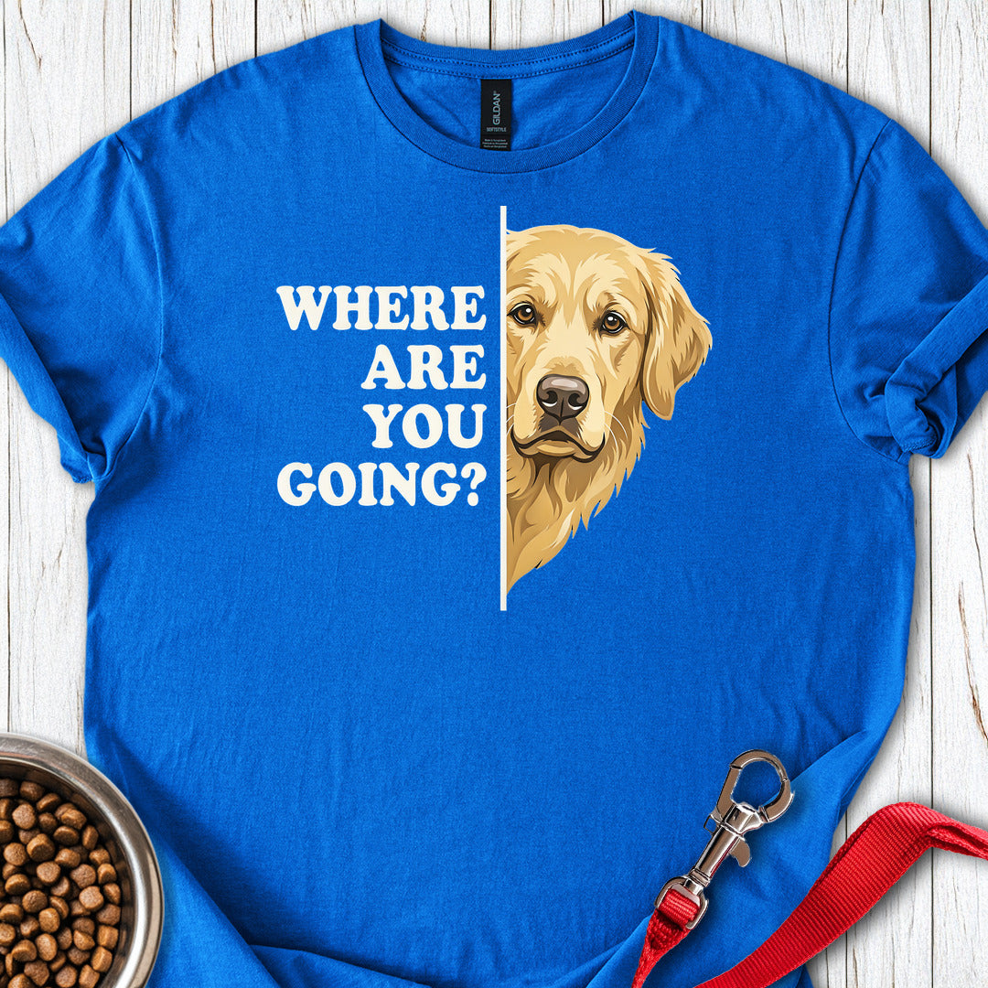 Golden Retriever Following Royal