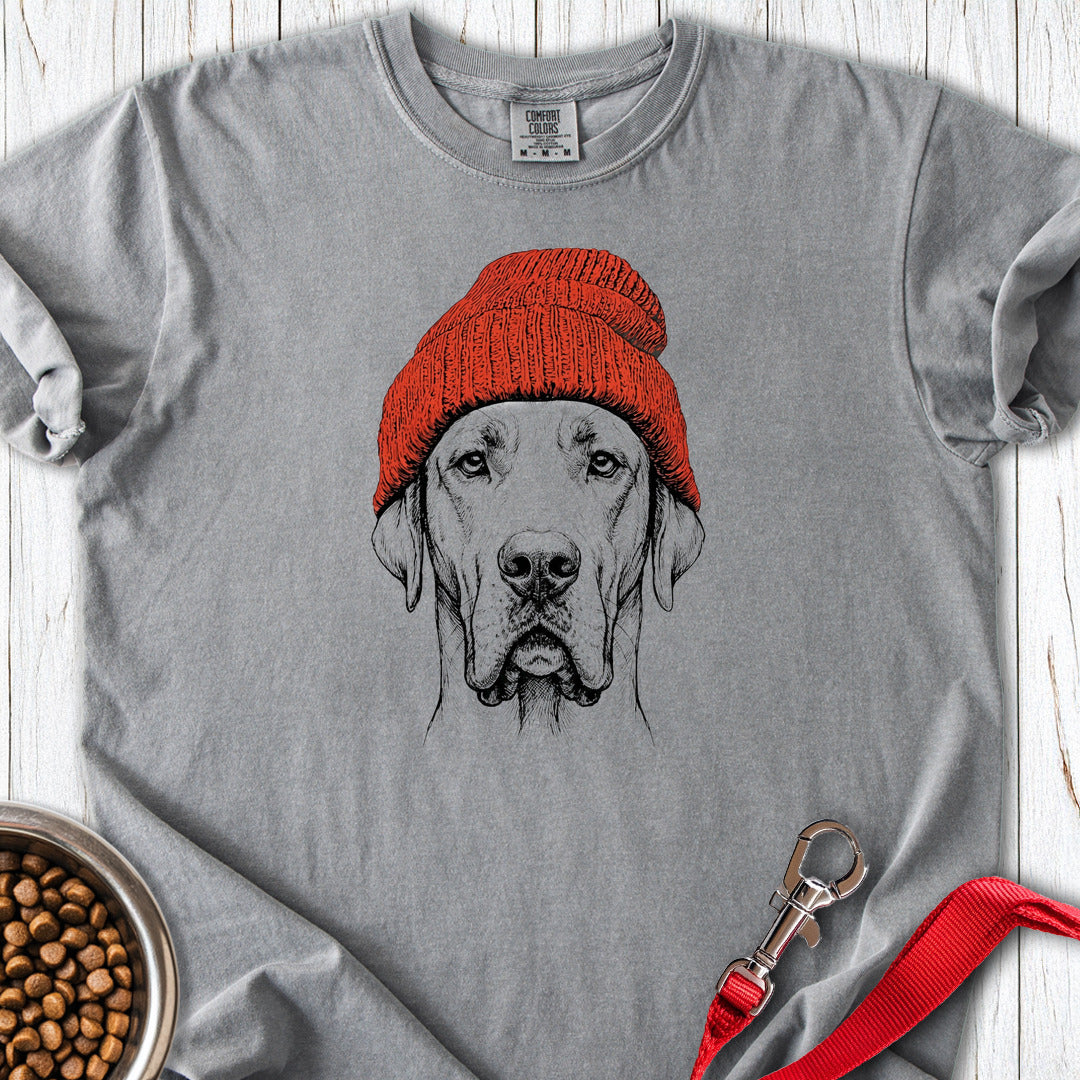 Great Dane Beanie Premium Tee — Grey