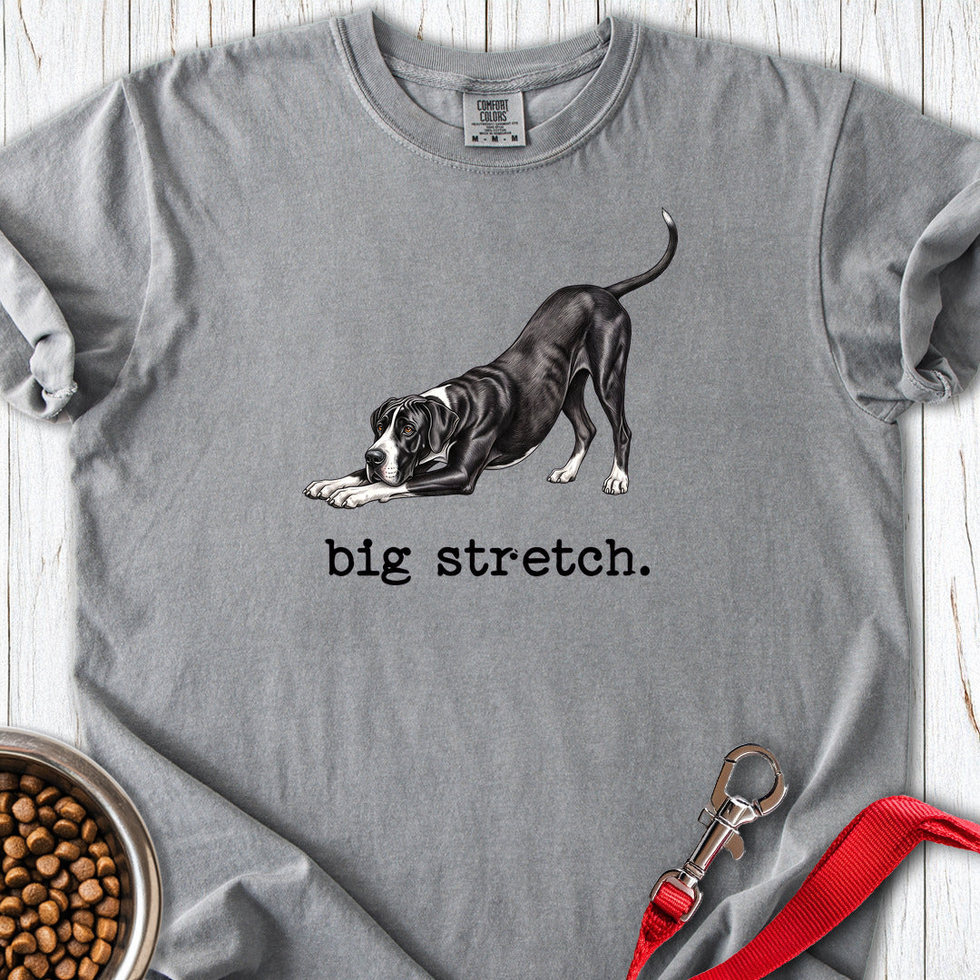 Great Dane Big Stretch Premium Tee — Grey