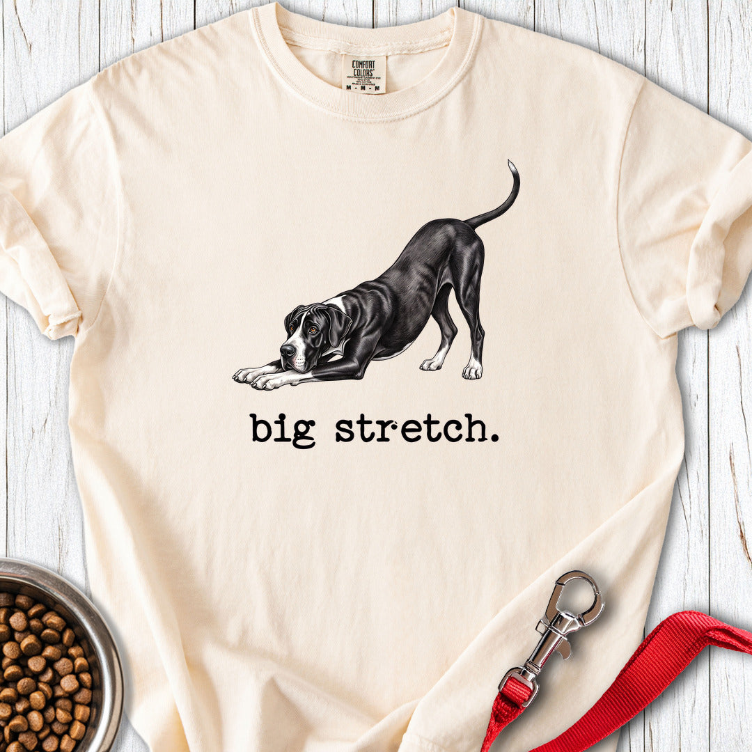 Great Dane Big Stretch Premium Tee — Ivory
