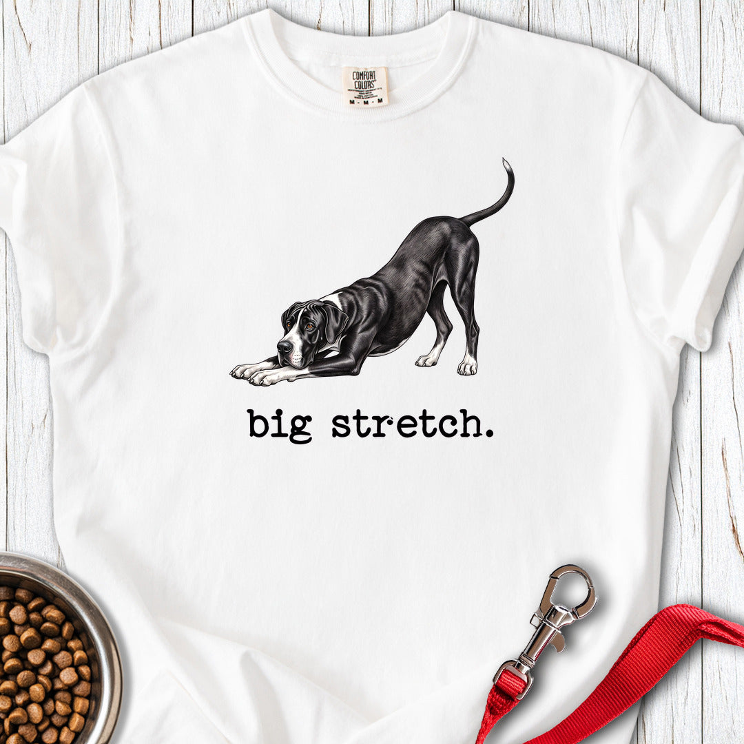 Great Dane Big Stretch Premium Tee — White