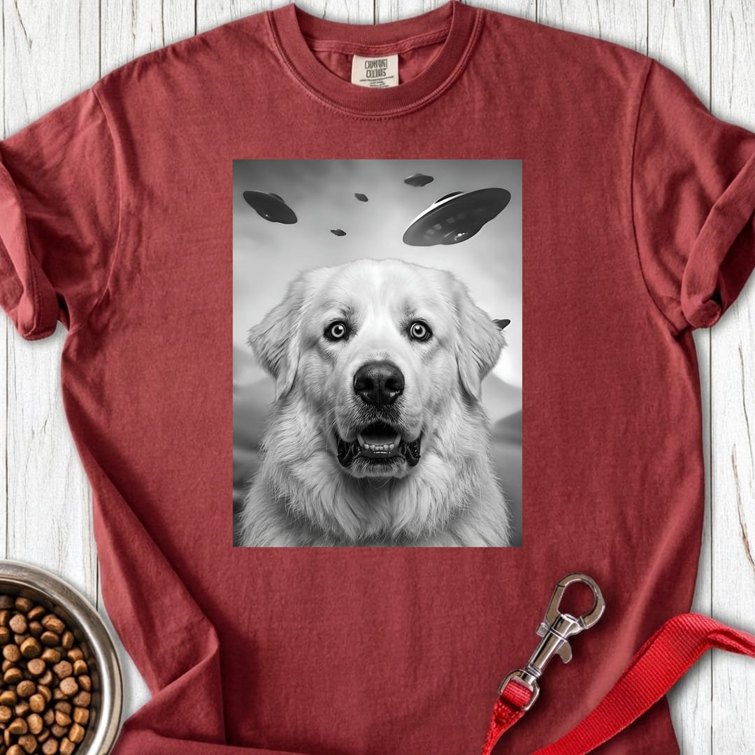 Great Pyrenees UFO Premium Tee — Brick
