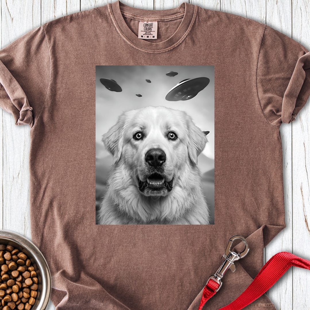 Great Pyrenees UFO Premium Tee — Espresso
