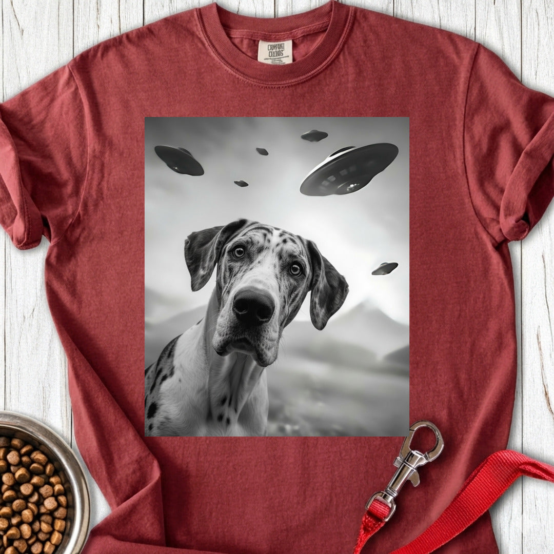 Harlequin Great Dane UFO Premium Tee — Brick