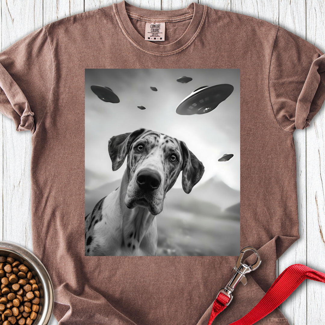Harlequin Great Dane UFO Premium Tee — Espresso