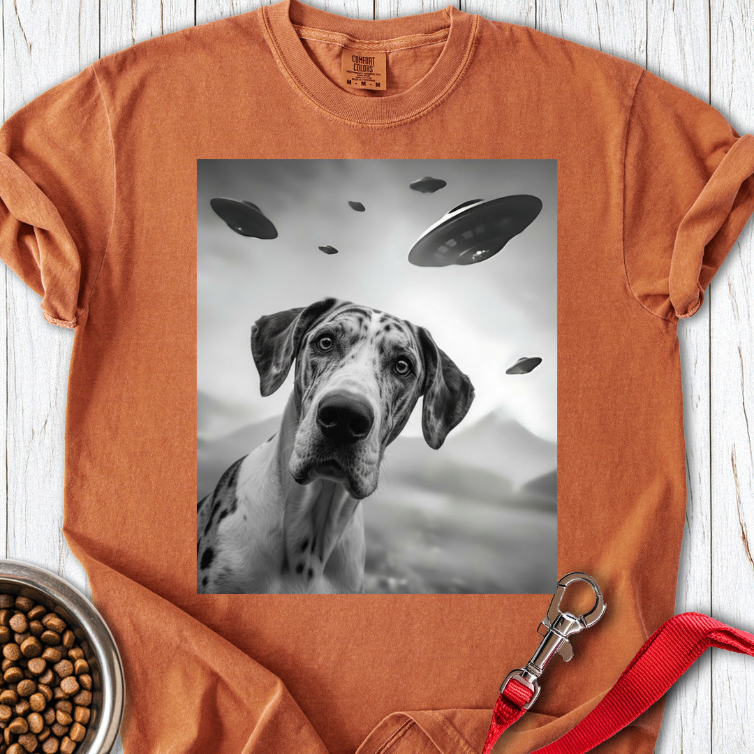 Harlequin Great Dane UFO Premium Tee — Yam