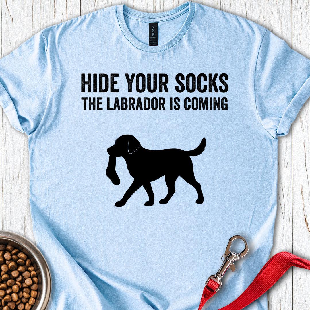 Hide Your Socks Labrador Light Blue