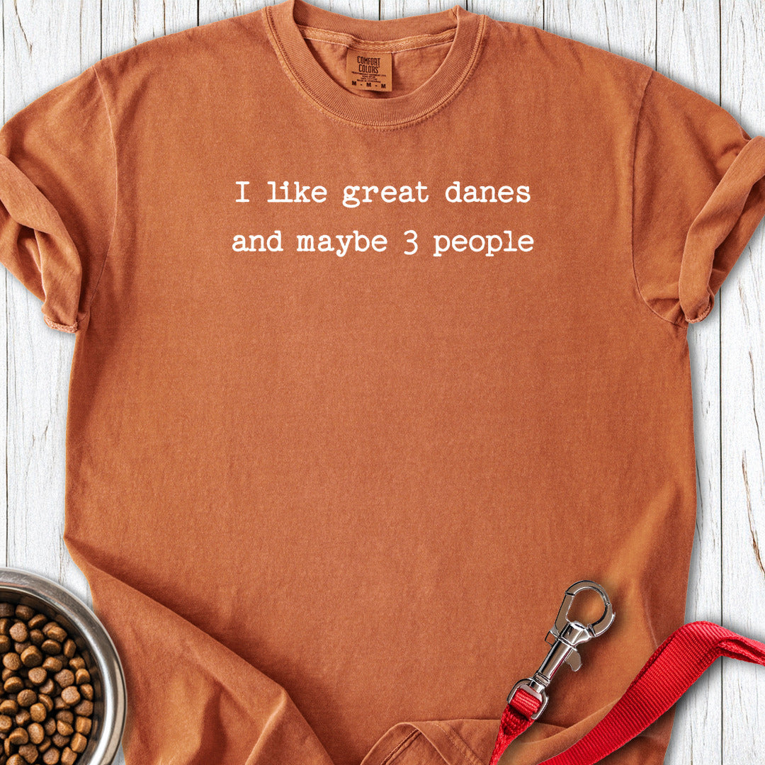 I Like Great Danes Premium Tee — Yam