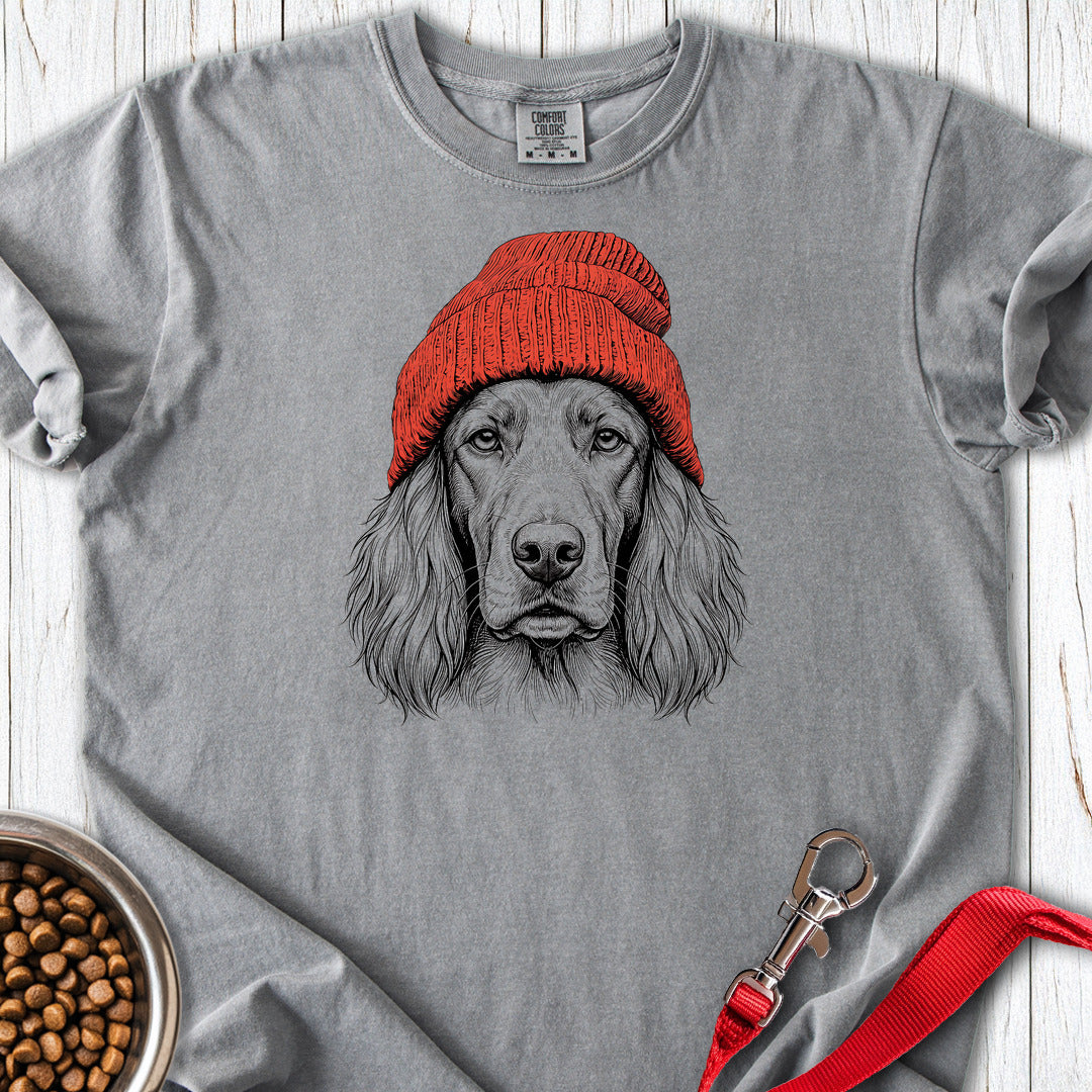 Irish Setter Beanie Premium Tee — Grey