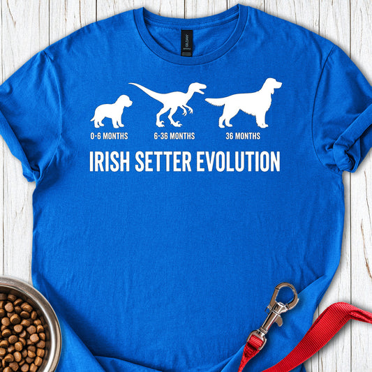 Irish Setter Evolution — Royal