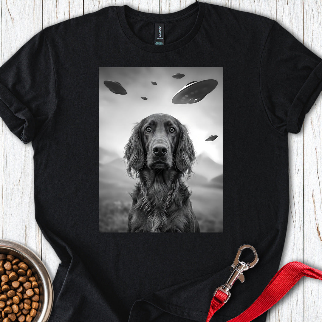 Irish Setter UFO — Black