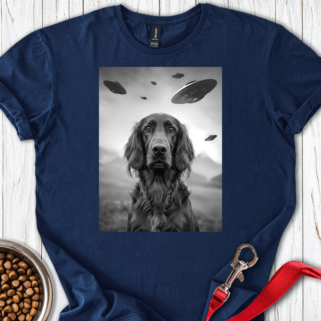 Irish Setter UFO — Navy