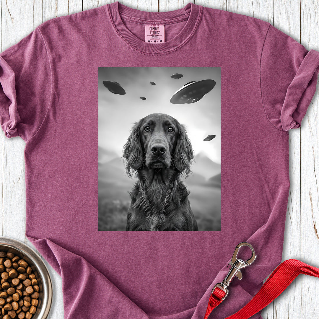 Irish Setter UFO Premium Tee — Berry