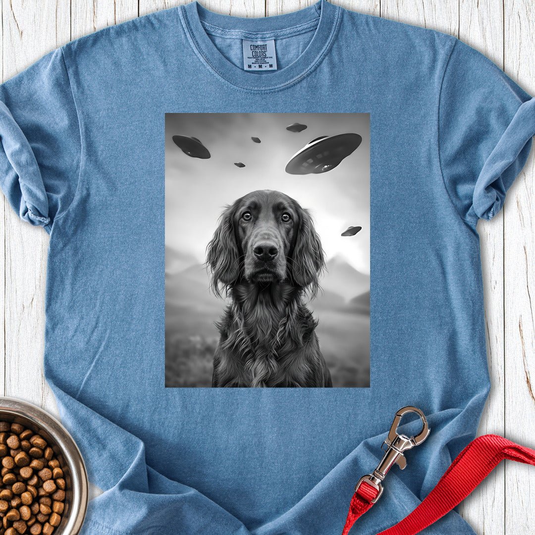 Irish Setter UFO Premium Tee — Blue Jean