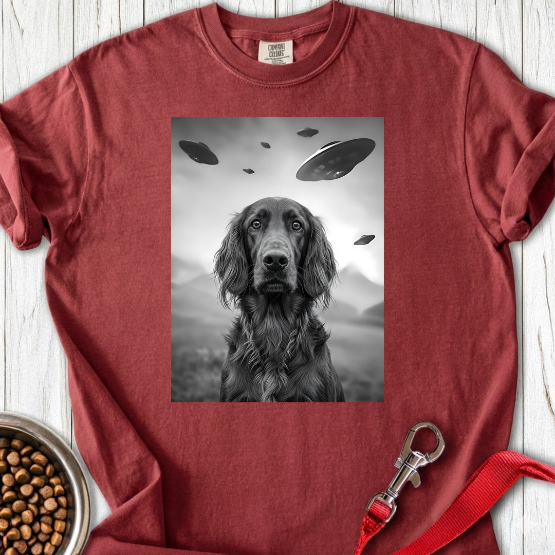 Irish Setter UFO Premium Tee — Brick