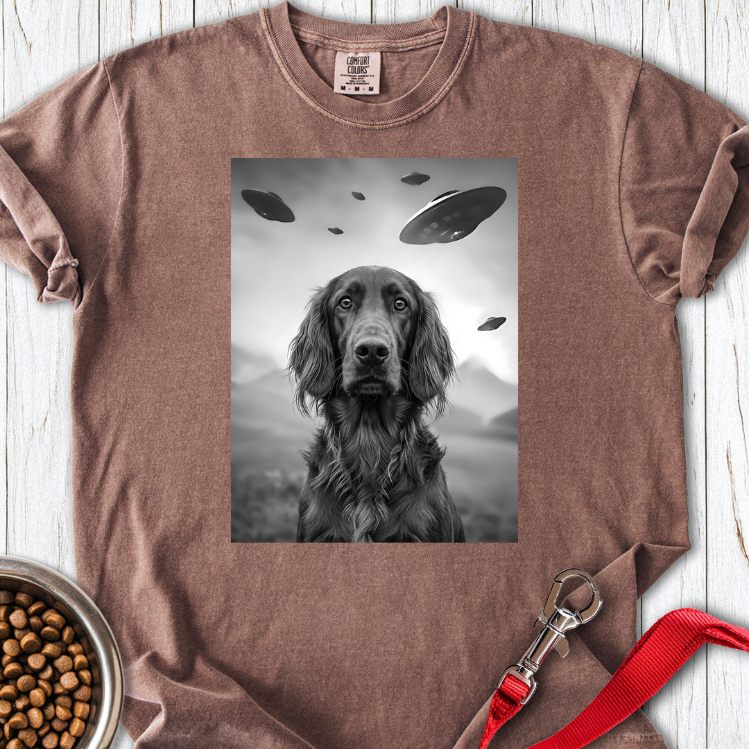 Irish Setter UFO Premium Tee — Espresso