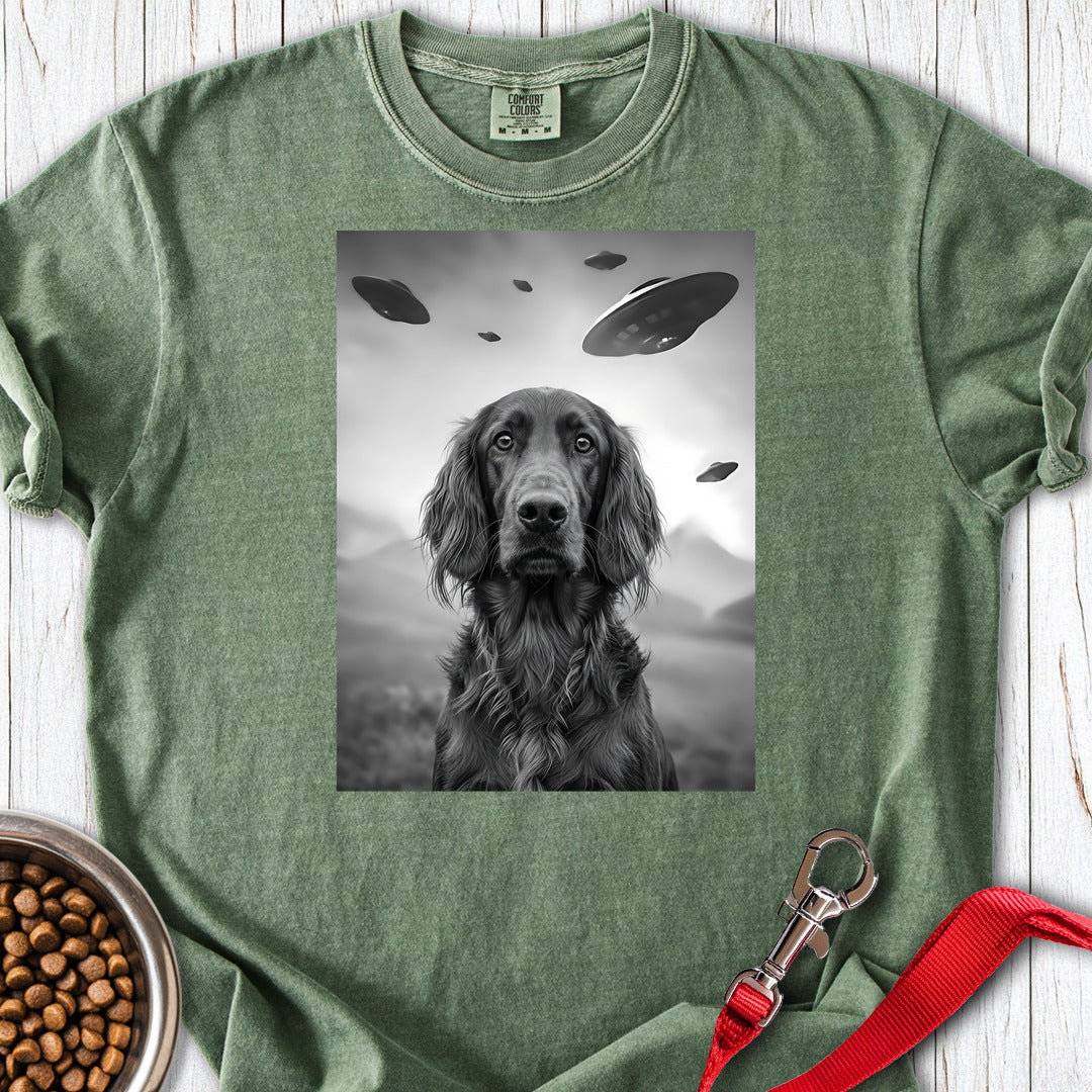 Irish Setter UFO Premium Tee — Moss