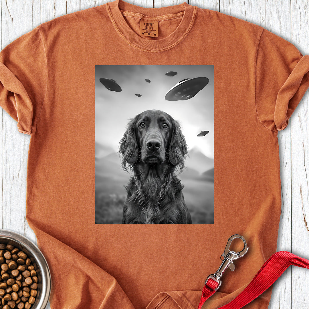 Irish Setter UFO Premium Tee — Yam
