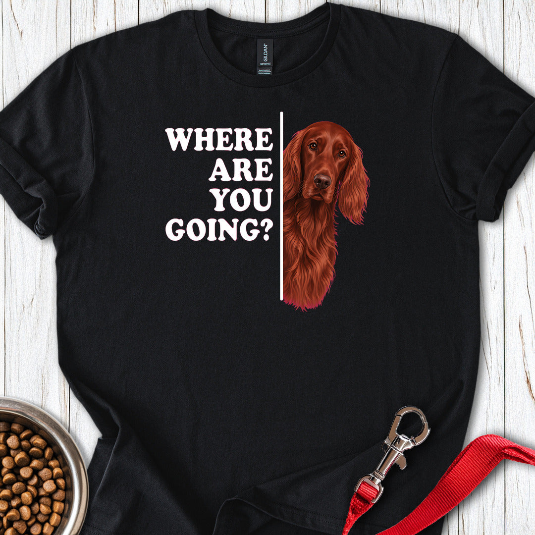 Irish Setter Where Are You Going — Black