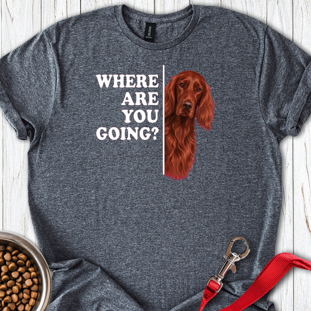 Irish Setter Where Are You Going — Dark Heather