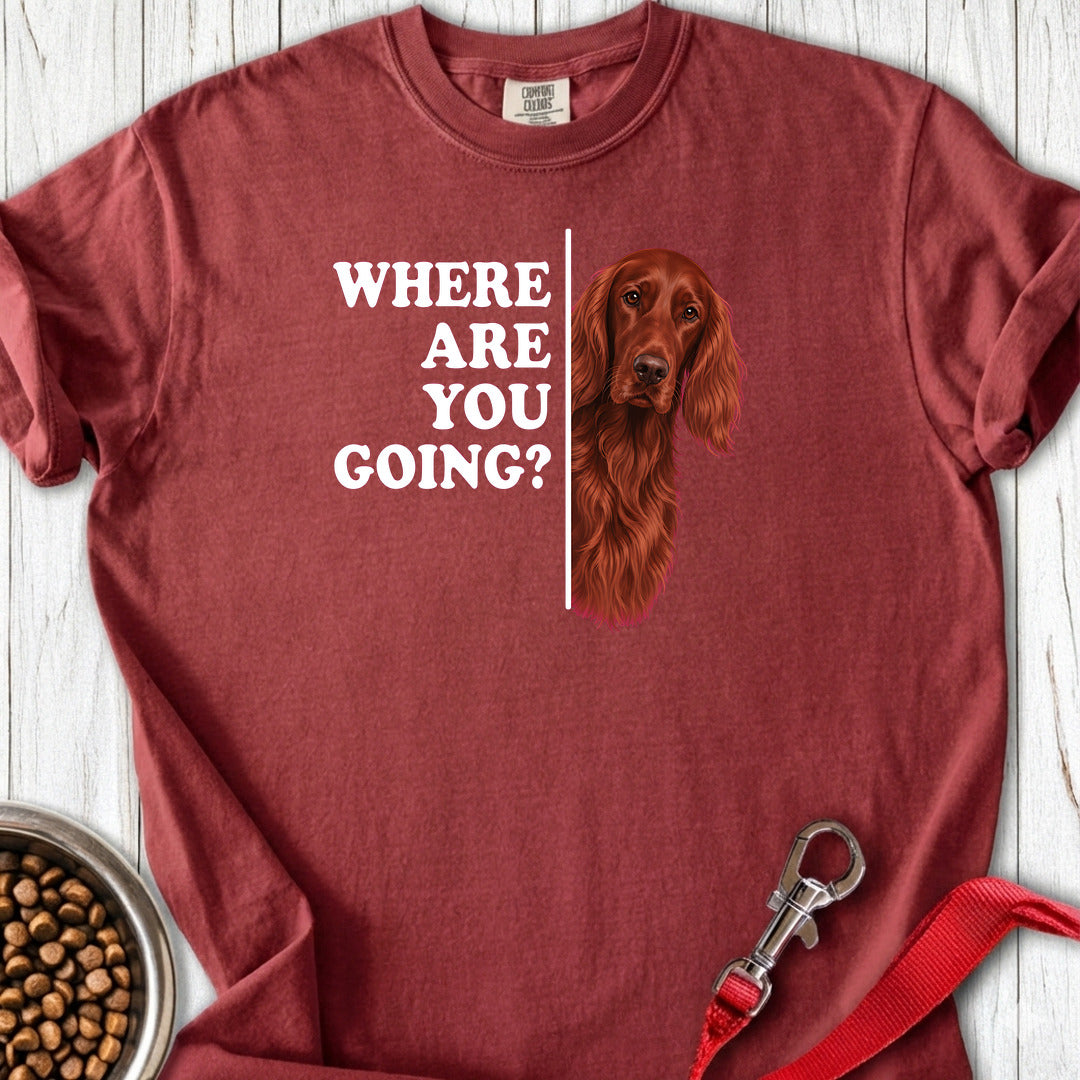 Irish Setter Where Are You Going Premium Tee — Brick