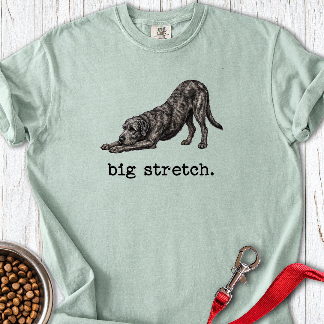 Irish Wolfhound Big Stretch Premium Tee — Bay