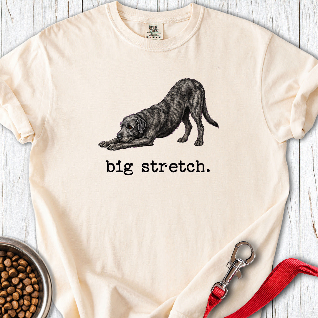 Irish Wolfhound Big Stretch Premium Tee — Ivory