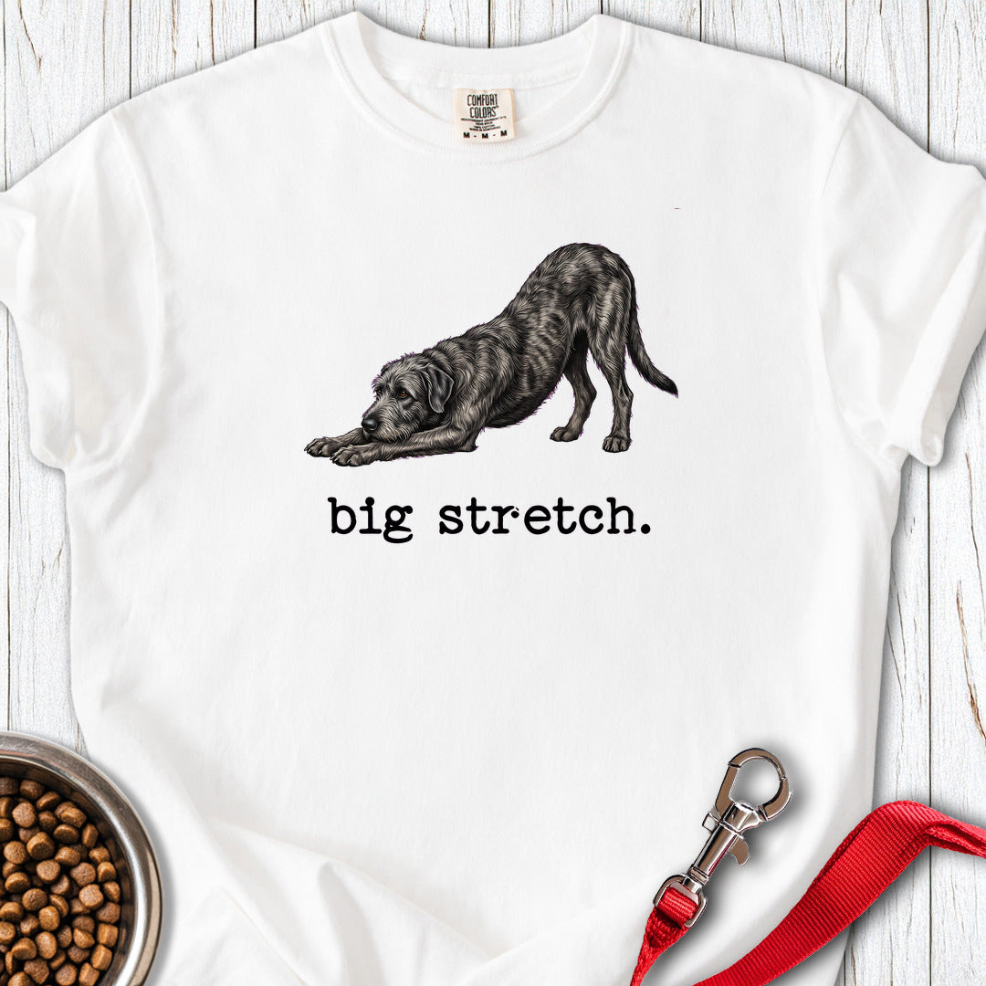 Irish Wolfhound Big Stretch Premium Tee — White