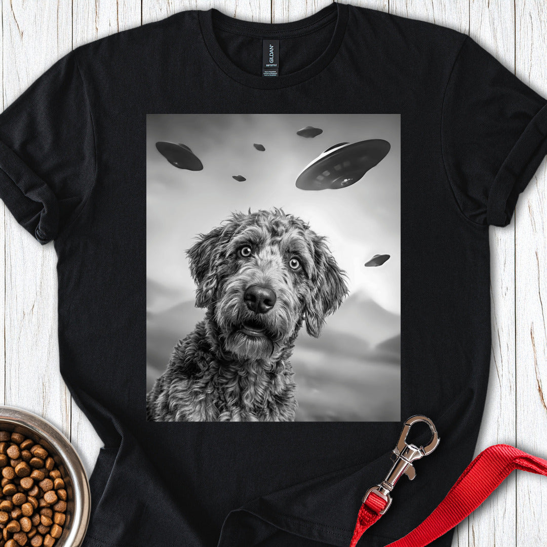 Labradoodle UFO Black